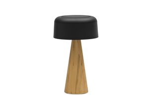 Kiruna (Cone Teak L)